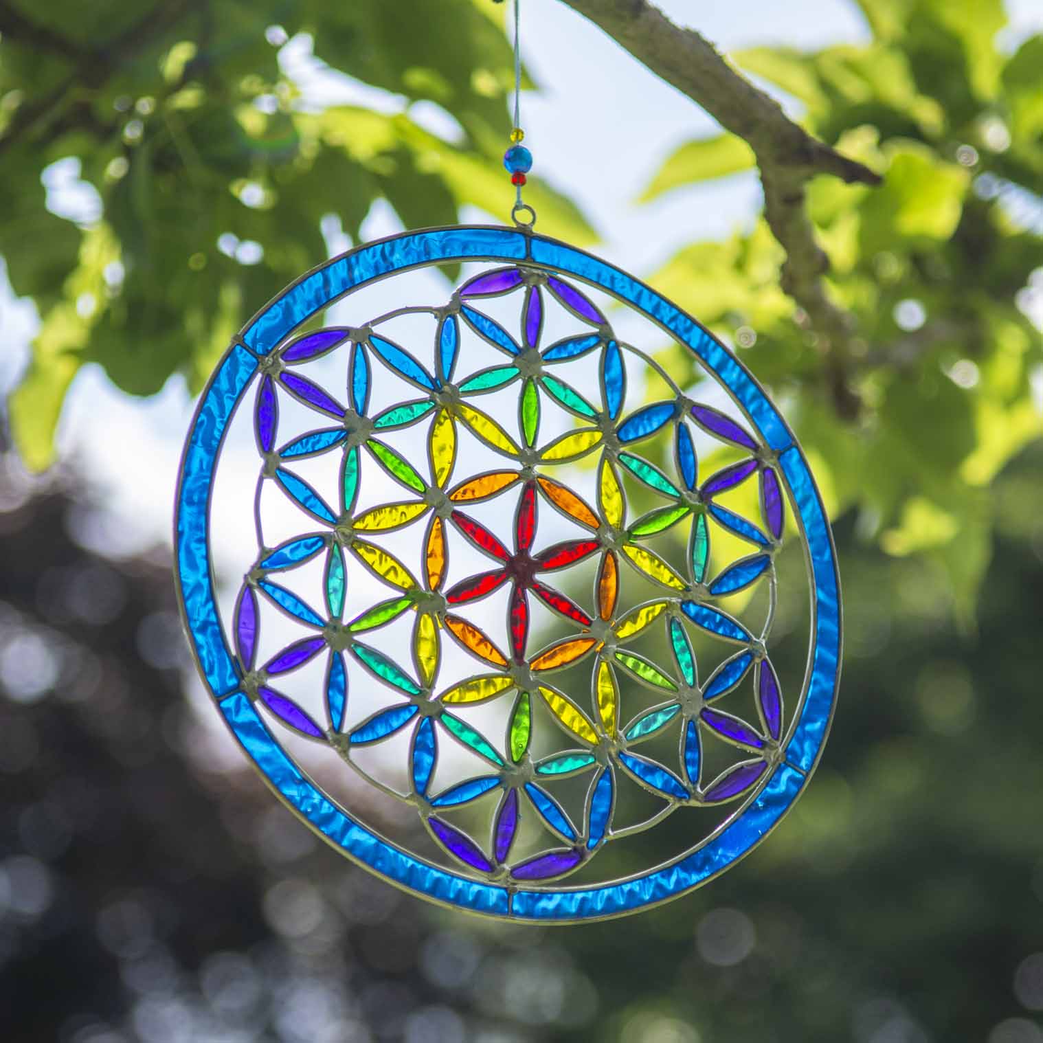 Round Flower of Life suncatcher with an overlapping-circle pattern in full rainbow resin, bordered by a deep blue ring